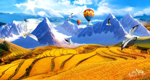 金色梯田