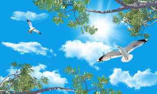 蓝天白云天花软膜