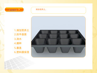穴盘播种