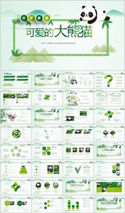 国宝大熊猫动物保护四川熊猫简介