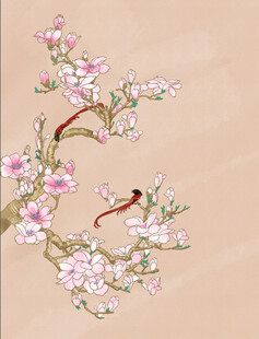 手绘国画粉色玉兰花