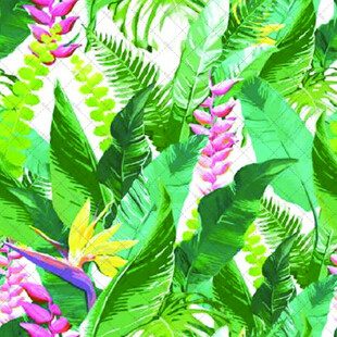 热带植物水彩绘