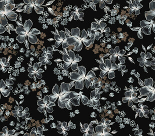 黑色底花卉图案设计素材