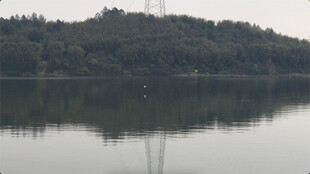 宁静北江河岸清晨日出景象
