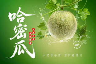 哈密瓜