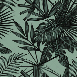 热带植物叶脉纹理图案