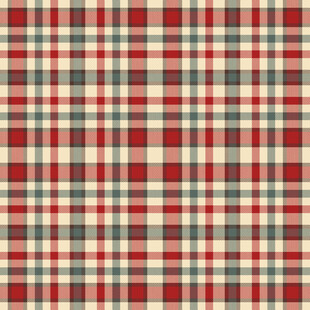 红色格子纹理图案