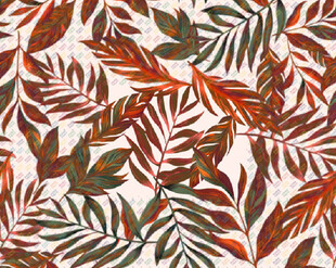 热带风树叶图案背景纹理