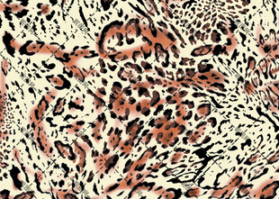 豹纹图案纹理背景图