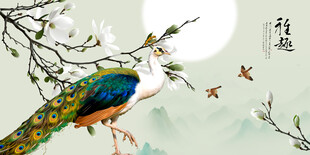 中式玄关孔雀玉兰花壁画