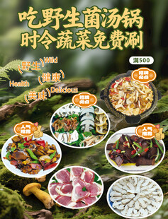 野生菌汤锅