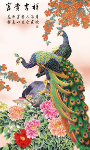 花鸟画 孔雀图