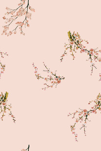 粉色花枝图案背景