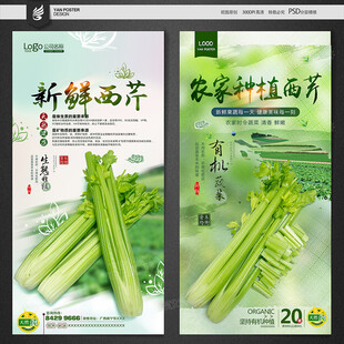 西芹