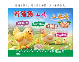 养殖场土鸡 土鸡蛋 生态好味道
