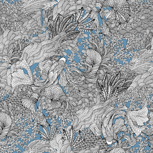 鱼 珊瑚 热带海洋