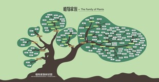 植物家族树状图