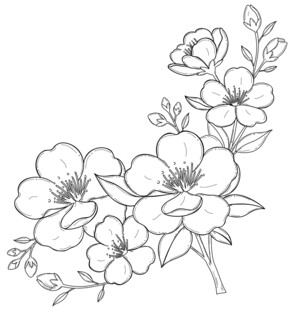 花卉线条勾勒图案 矢量图