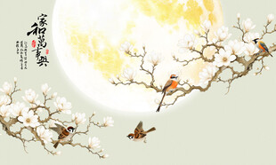 玉兰花