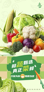 蔬菜海报