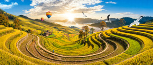 梯田风景画