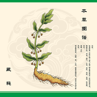 传统草药萎蕤 葳蕤