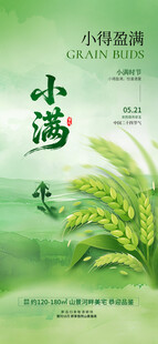 清新绿植小书封面展示