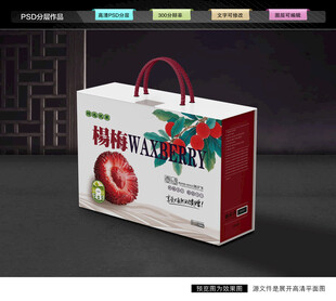 杨梅礼盒