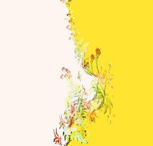 黄色背景花卉装饰图案