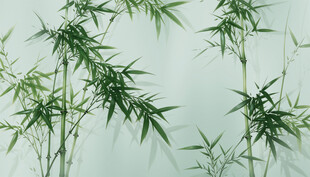 高清立体水墨竹子背景