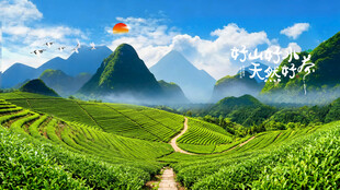茶山
