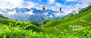 茶山