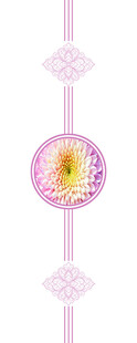 中式精美花卉图案装饰元素