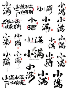 小满节气书法艺术字字体设计