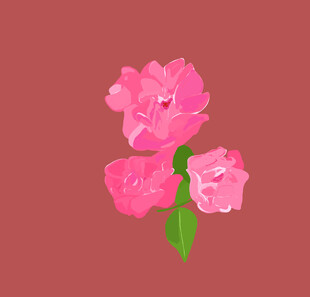 粉色花卉插画