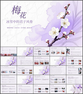 君子风骨梅花介绍课件PPT
