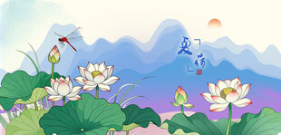 夏日荷塘美景