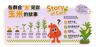 玉米的故事