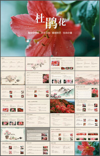 古风典雅花卉杜鹃花介绍PPT