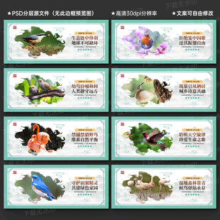 保护鸟类