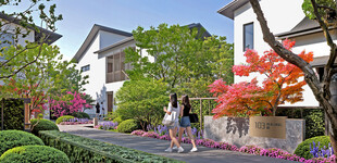 温馨社区花园式居住环境