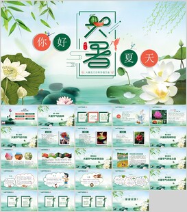 处暑节气PPT模板展示