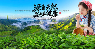 茶山采茶