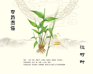 中药材淡竹叶展示图