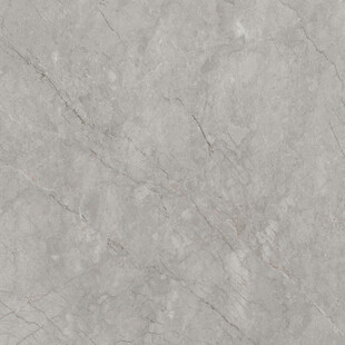 地板 最新高雅石纹 新款大图 