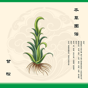 本草甘松