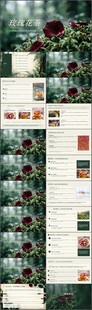 东方浪漫玫瑰花茶ppt