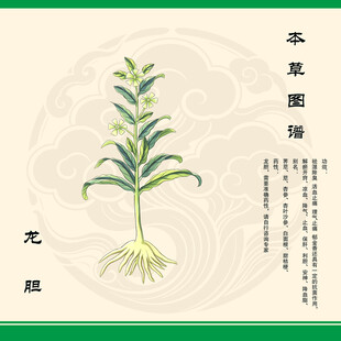 本草纲目龙胆