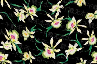 黑色背景上的缤纷兰花图案