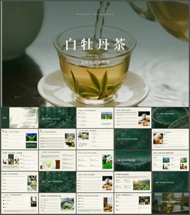 白牡丹茶文化与品鉴指南ppt